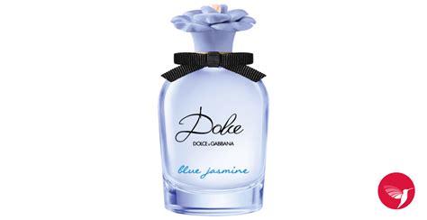 blue jasmine dolce gabbana|dolce and gabbana dark blue.